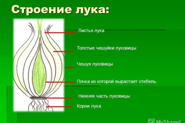 Ссылки на онион сайты