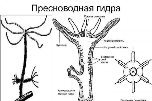 Купить гашиш через телеграмм